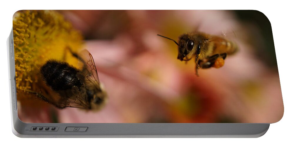 Bee On The Flower Portable Battery Charger featuring the photograph The Flower is taken by Lilia S