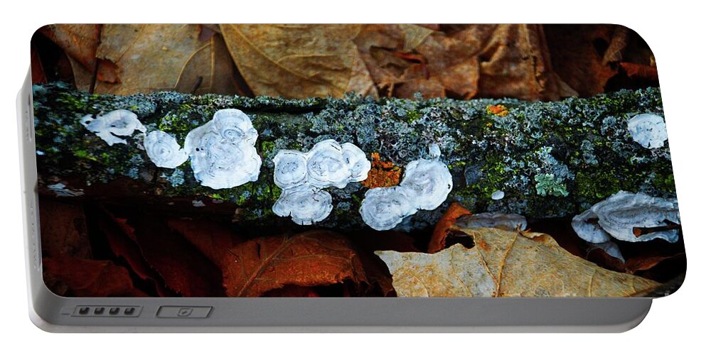 The Forest Floor Portable Battery Charger featuring the photograph The Forest Floor - Cascade WI by Mary Machare
