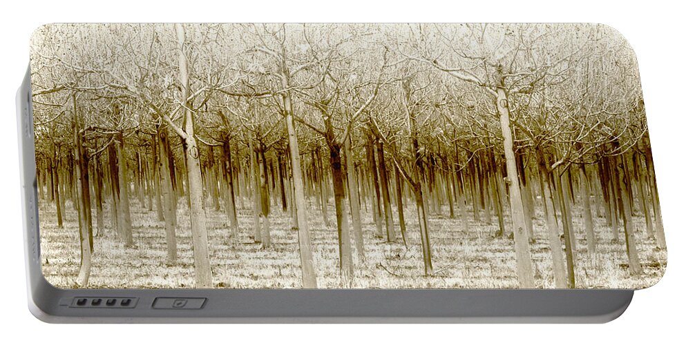 Landscape Portable Battery Charger featuring the photograph The Forest for the Trees by Holly Kempe