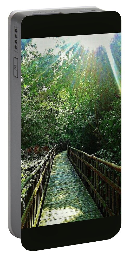  Portable Battery Charger featuring the photograph The Forest Trail by Margherita Rancura