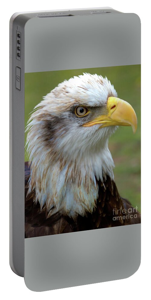 Bird Portable Battery Charger featuring the photograph The Gaurdian by Stephen Melia