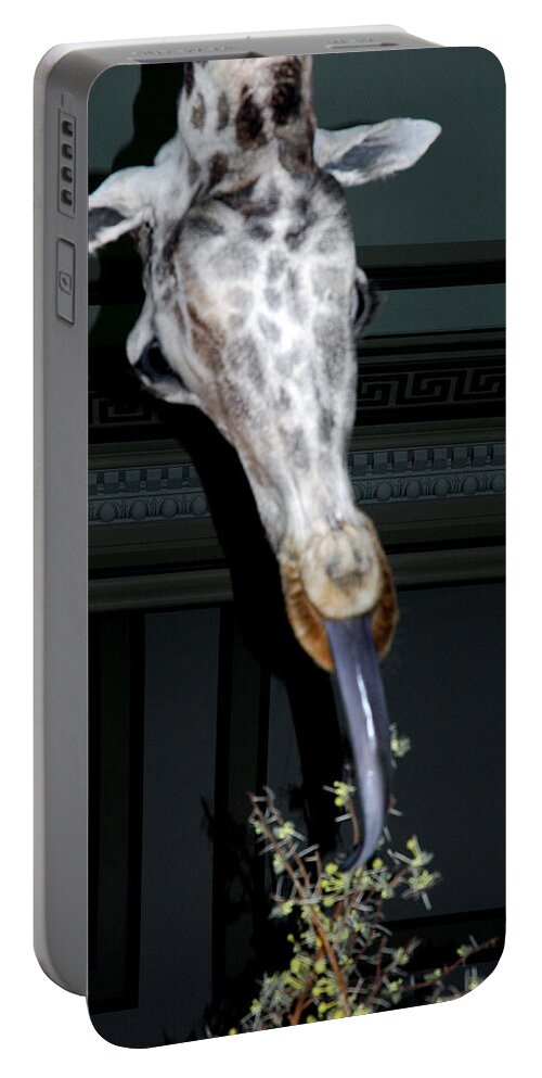 Usa Portable Battery Charger featuring the photograph The Giraffe by LeeAnn McLaneGoetz McLaneGoetzStudioLLCcom