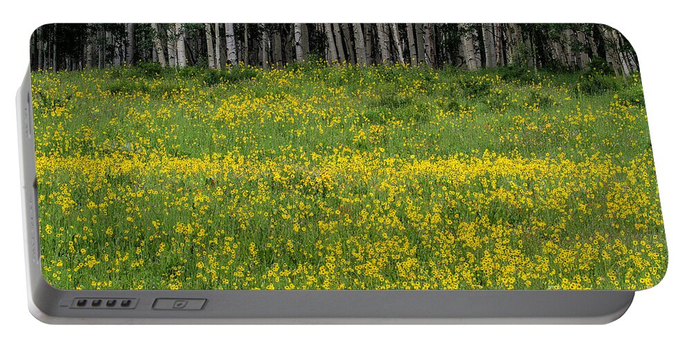 Aspen And Flowers Portable Battery Charger featuring the photograph The Golden Shore by Jim Garrison