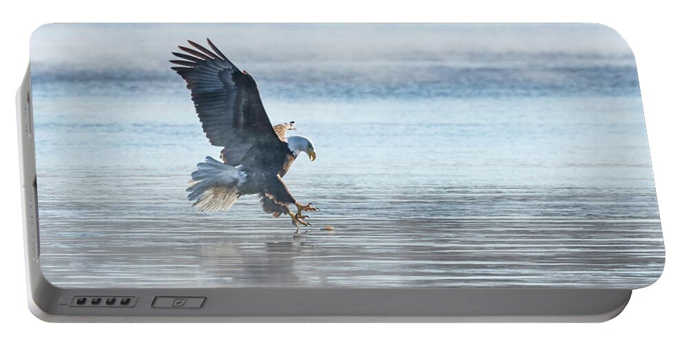 American Bald Eagle Portable Battery Charger featuring the photograph The Great American Bald Eagle 2016-15 by Thomas Young