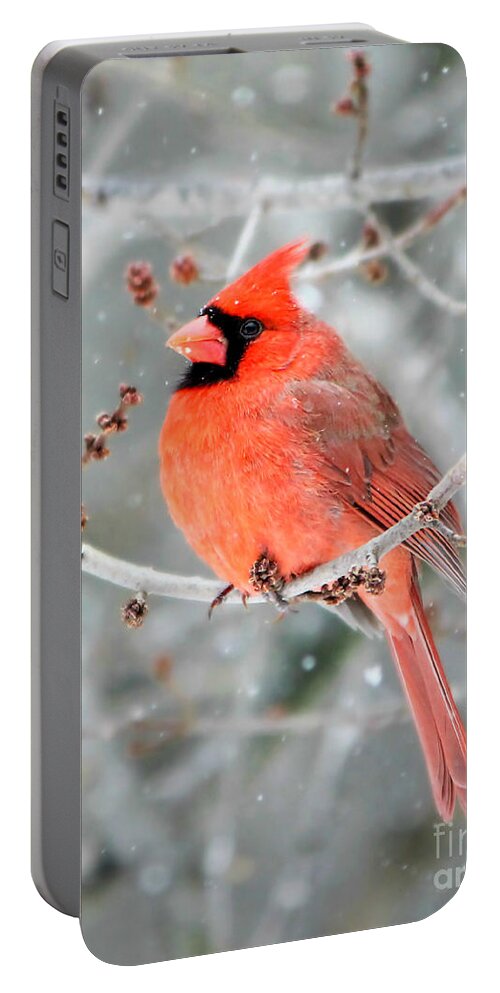 Northern Cardinal Portable Battery Charger featuring the photograph The Guardian by Tina LeCour