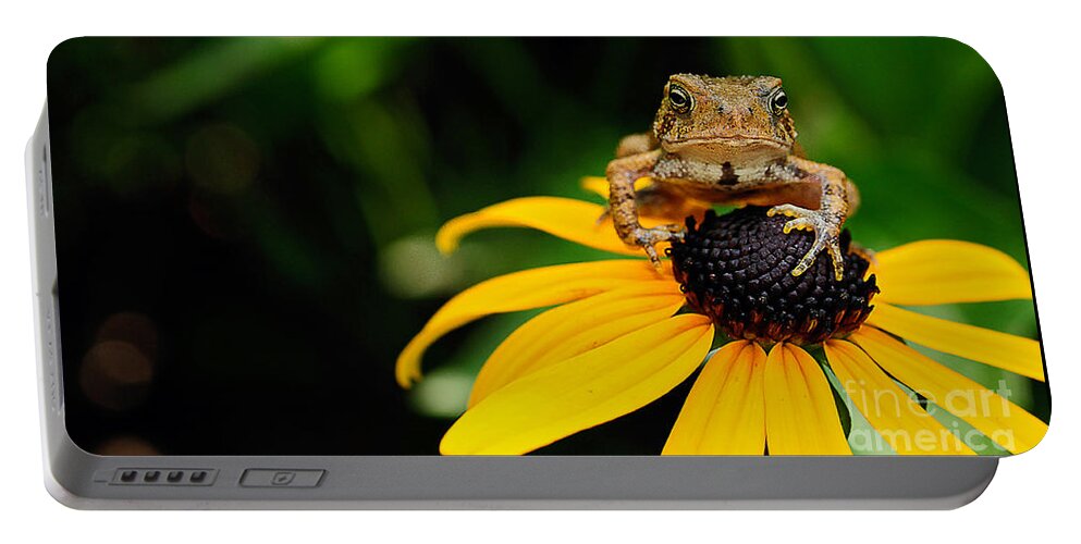 Toad Portable Battery Charger featuring the photograph The Harbinger by Lois Bryan