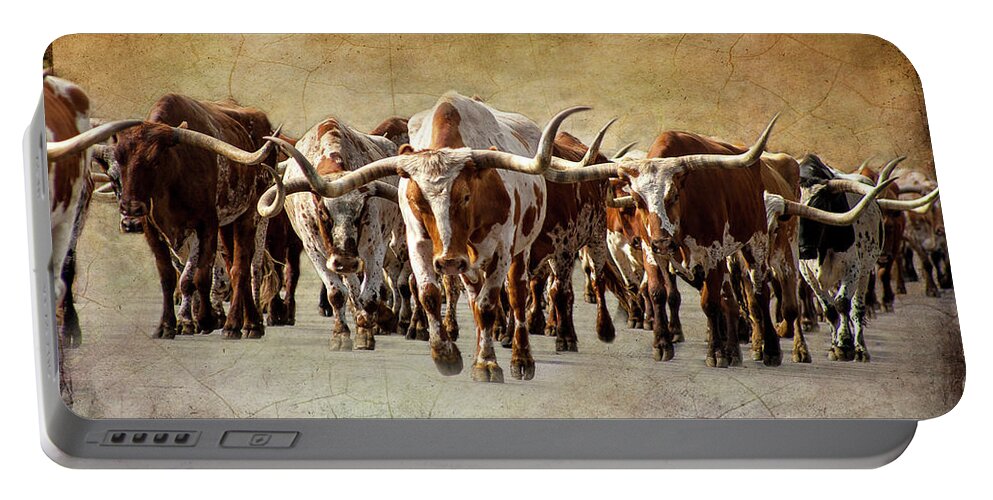 Cattle Portable Battery Charger featuring the photograph The Herd by Steven Reed