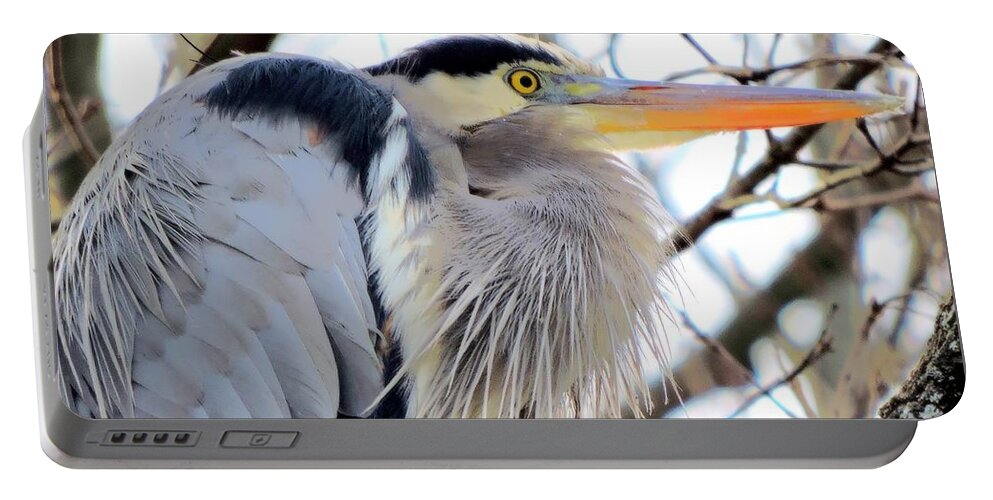 Great Blue Heron Portable Battery Charger featuring the photograph The Heron In Winter by Tami Quigley