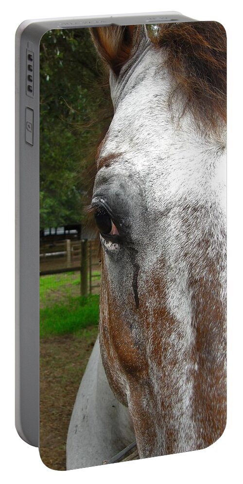 Horse Portable Battery Charger featuring the photograph The Horse by Carl Moore