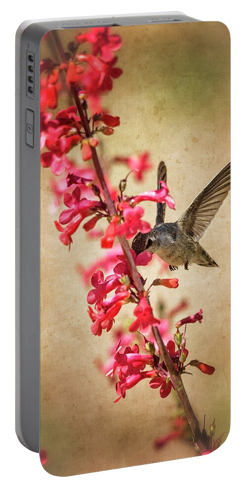 Hummingbird Portable Battery Charger featuring the photograph The hummingbird and the Spring Flowers by Saija Lehtonen