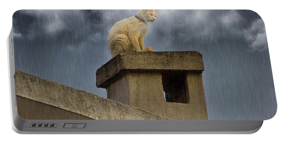 Cat Portable Battery Charger featuring the photograph The Hunt Goes On by Al Bourassa