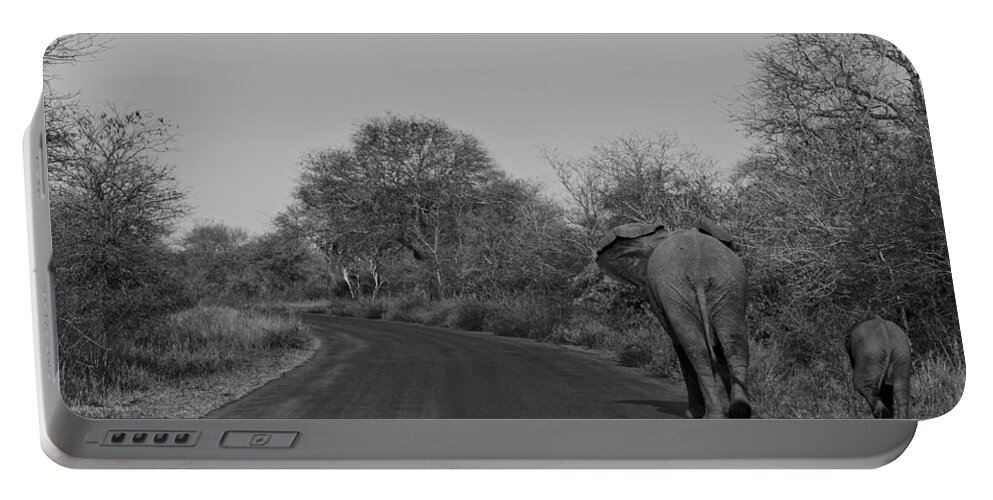 Kruger National Park Portable Battery Charger featuring the photograph The Journey by Brian Kamprath