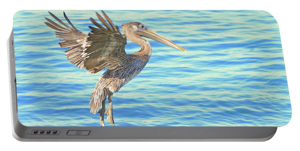 Pelican Portable Battery Charger featuring the photograph The Landing by Shoal Hollingsworth