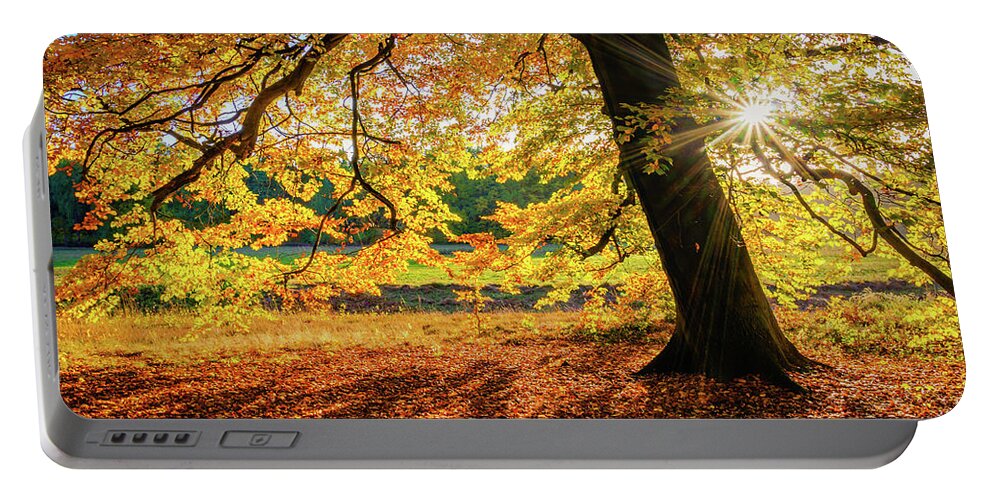 Europe Portable Battery Charger featuring the photograph The last rays of golden autumn by Dmytro Korol