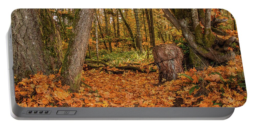 Landscapes Portable Battery Charger featuring the photograph The Leaves Have Fallen by Claude Dalley