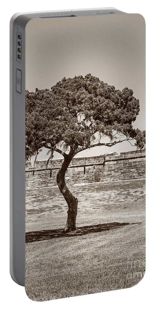 Castillo De San Marcos Portable Battery Charger featuring the photograph The Lone Tree by Todd Blanchard