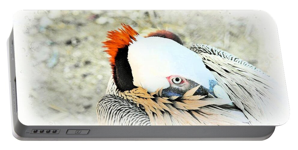 Pelican Portable Battery Charger featuring the photograph The Look by Stoney Lawrentz