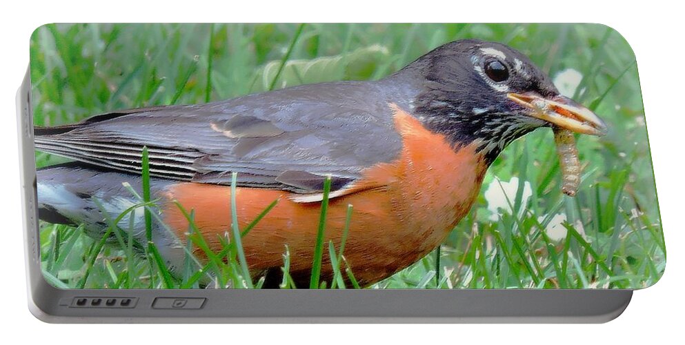 Robin Portable Battery Charger featuring the photograph The Lucky Robin by Tami Quigley