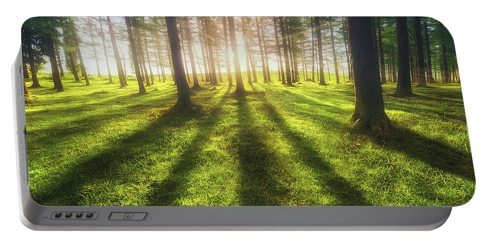 Sun Portable Battery Charger featuring the photograph The Luminous Forest by Mikel Martinez de Osaba