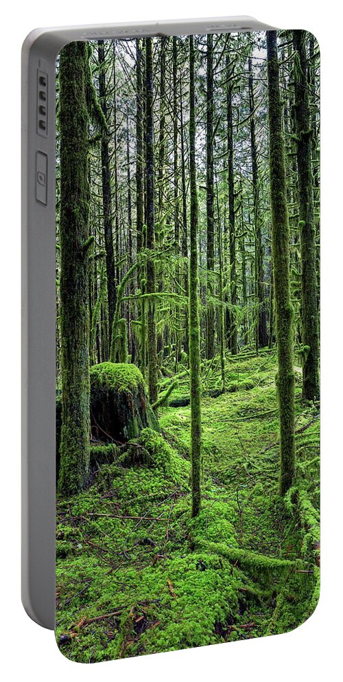 Alex Lyubar Portable Battery Charger featuring the photograph The Magic forest by Alex Lyubar