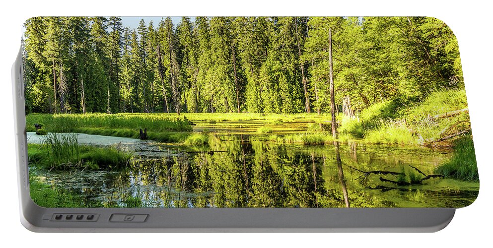 Landscape Portable Battery Charger featuring the photograph The Marsh by Mark Joseph