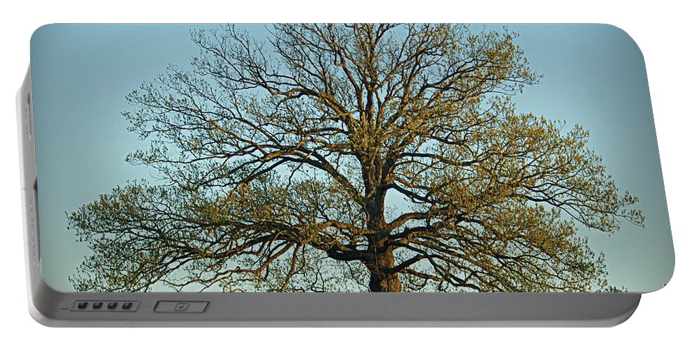 Oak Portable Battery Charger featuring the photograph The Mighty Oak in Spring by Cricket Hackmann