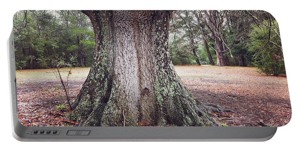 Oak Portable Battery Charger featuring the photograph The Mighty Oak by Linda Lees