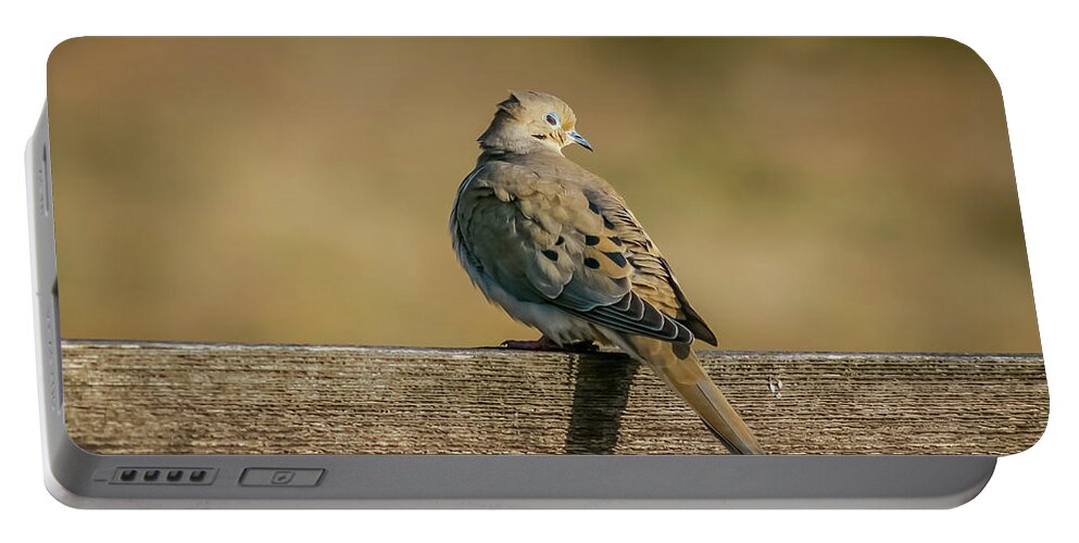 Wildlife Portable Battery Charger featuring the photograph The Morning Dove by Robert Frederick