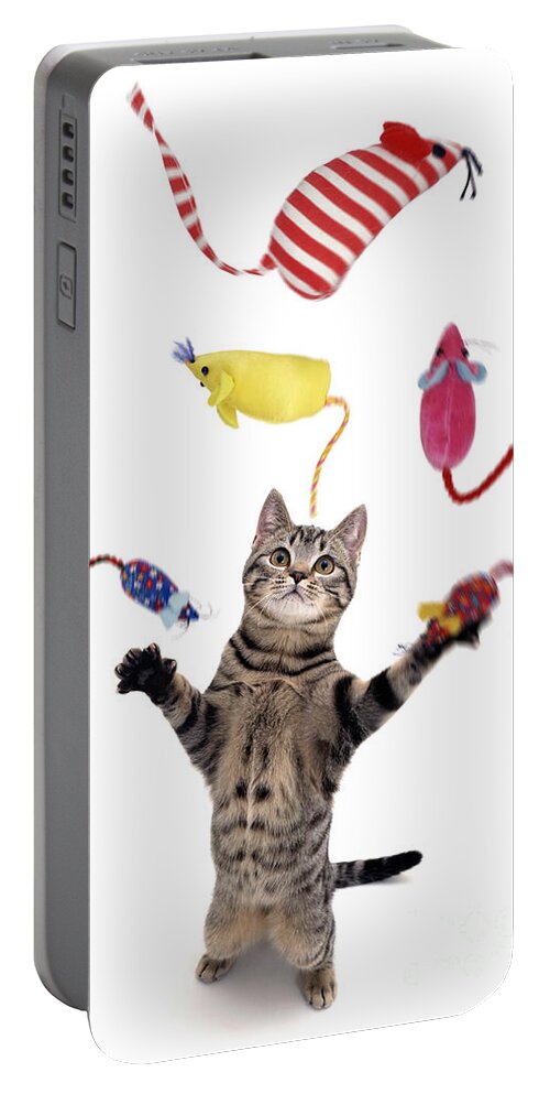 Cat Portable Battery Charger featuring the photograph The Mouse Juggler by Warren Photographic