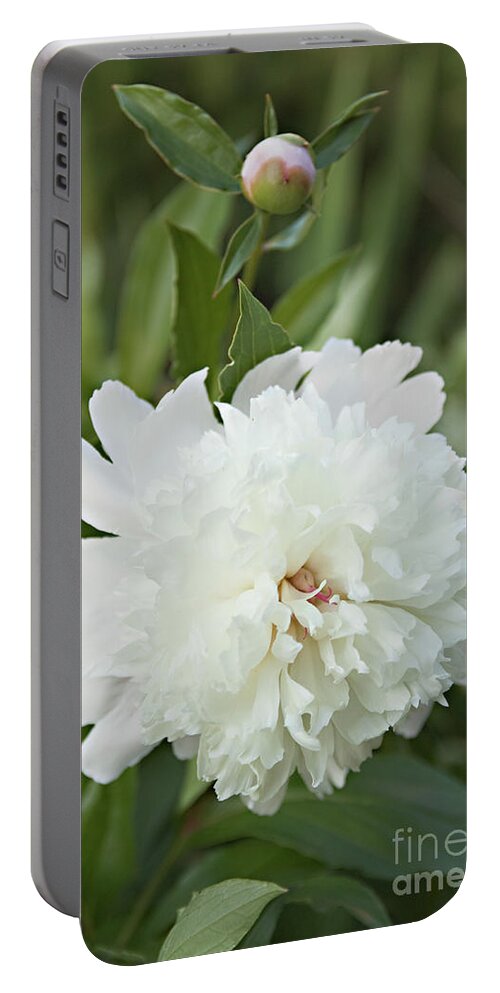 Bloom Portable Battery Charger featuring the photograph The Next Bloom is Almost Ready by Sherry Hallemeier
