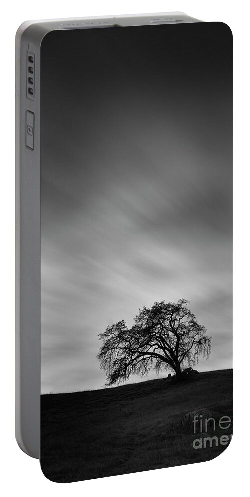 Oak Tree Portable Battery Charger featuring the photograph The Old Oak Tree by Erick Castellon