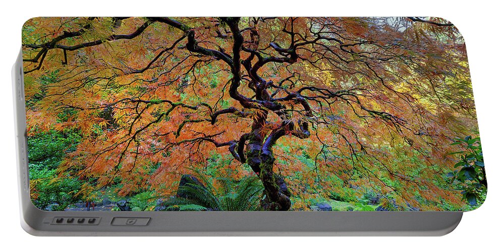 Japanese Garden Portable Battery Charger featuring the photograph The Other Japanese Maple Tree in Autumn by David Gn