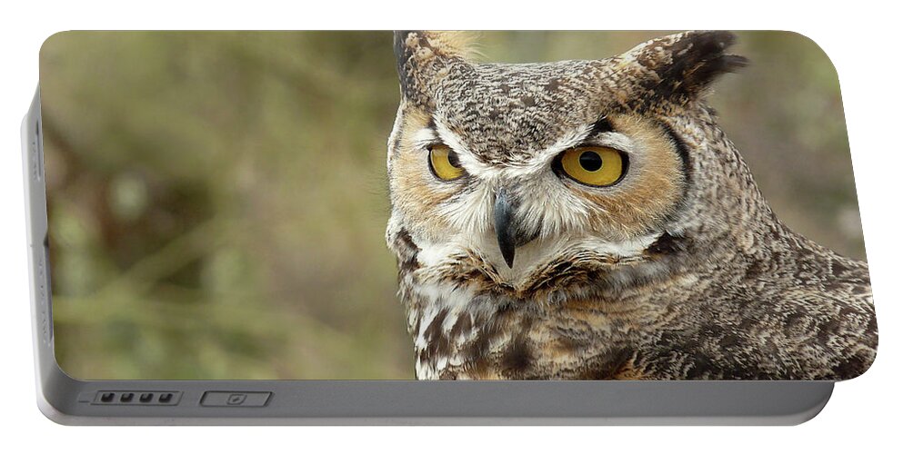 Owl Portable Battery Charger featuring the photograph The Owl by Lucinda Walter