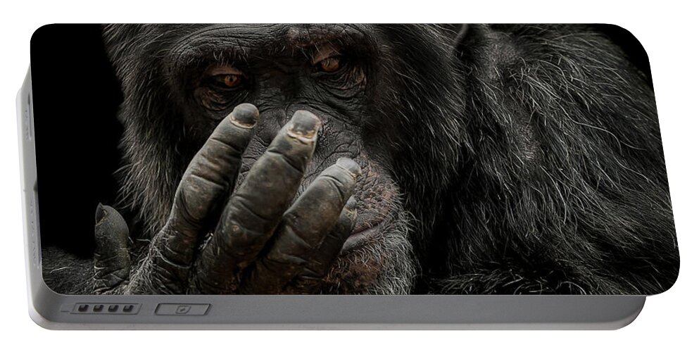 Chimpanzee Portable Battery Charger featuring the photograph The palm reader by Paul Neville
