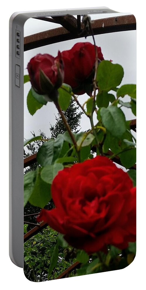 Botanical Flower's Nature Portable Battery Charger featuring the photograph The peaceful place 7 by Valerie Josi