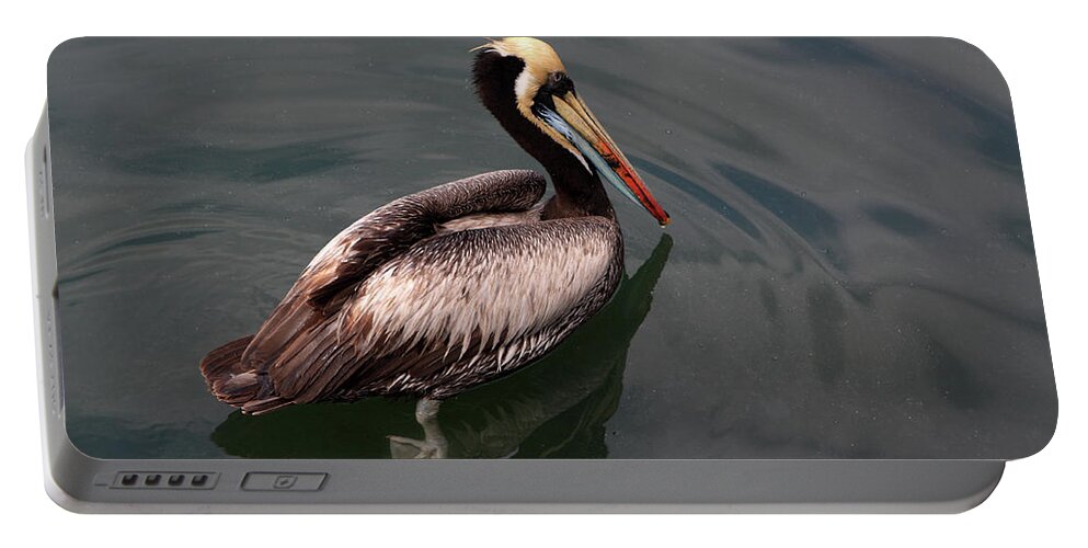 Pelican Portable Battery Charger featuring the photograph The Peruvian Pelican #2 by Aidan Moran
