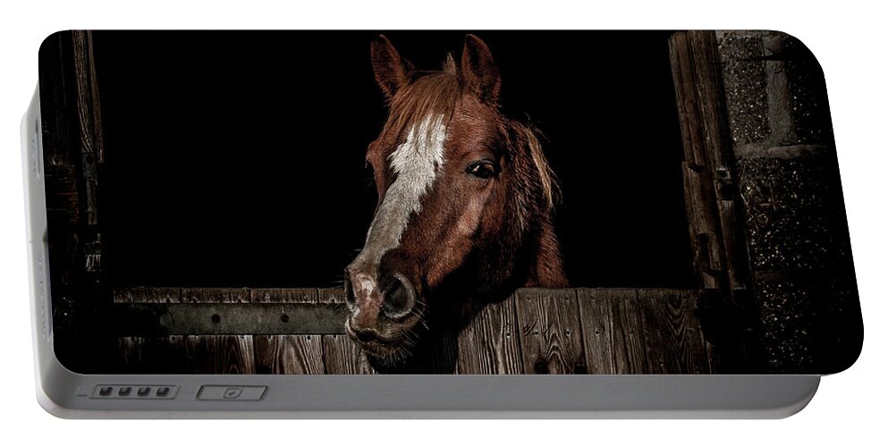 Pony Portable Battery Charger featuring the photograph The Poser by Paul Neville