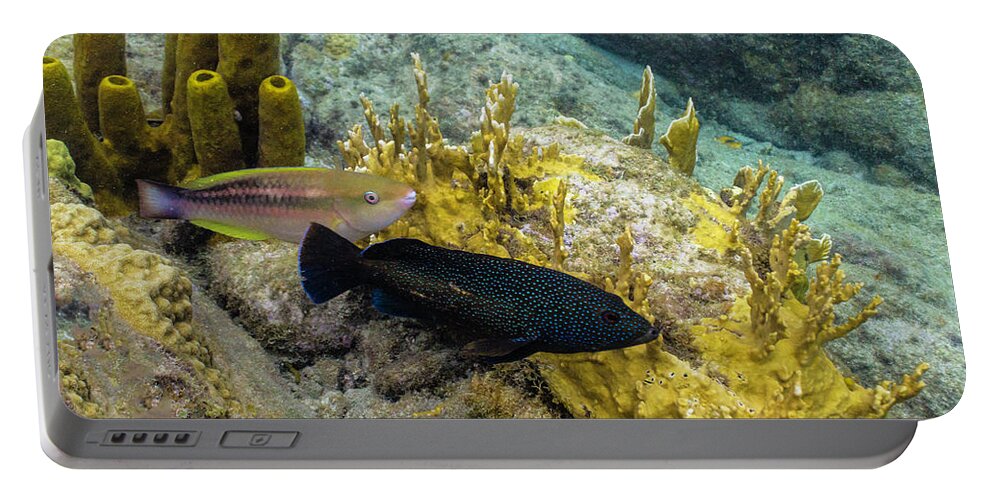 Ocean Portable Battery Charger featuring the photograph The Princess and the Grouper by Lynne Browne