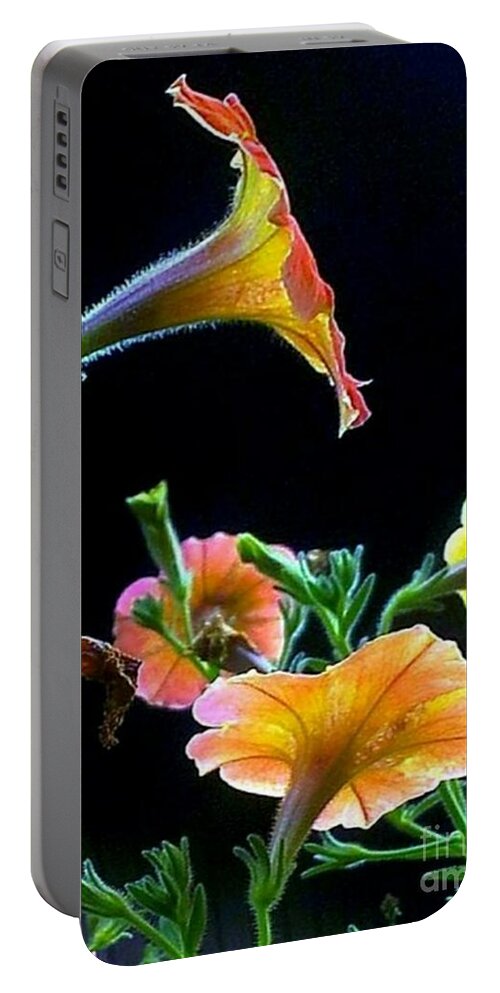 Flowers Portable Battery Charger featuring the photograph The Profile by Dani McEvoy