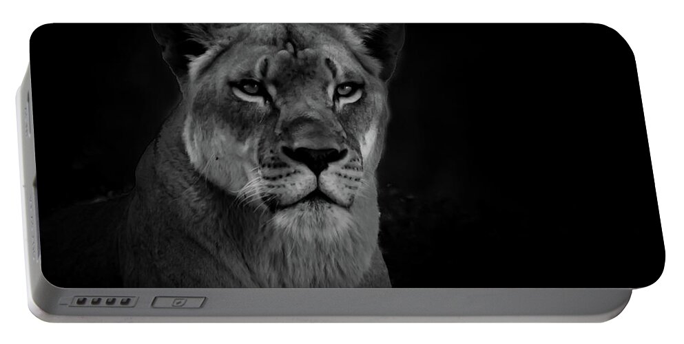 Lioness Portable Battery Charger featuring the photograph The Queen by Jaime Mercado