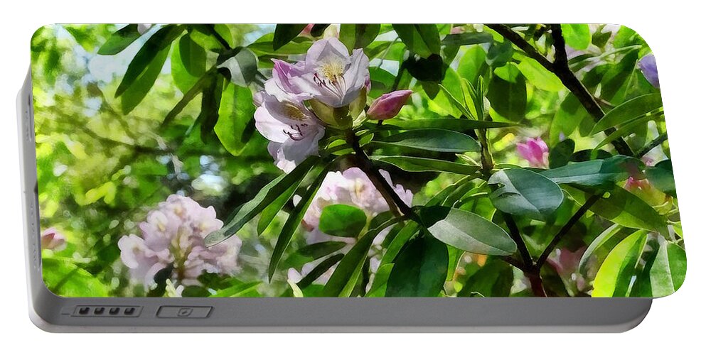 Rhododendrons Portable Battery Charger featuring the photograph The Rhododendrons Are In Bloom by Susan Savad