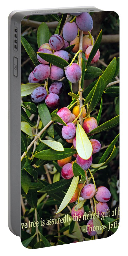 The Richest Gift Of Heaven Portable Battery Charger featuring the photograph The Richest Gift of Heaven by Tikvah's Hope