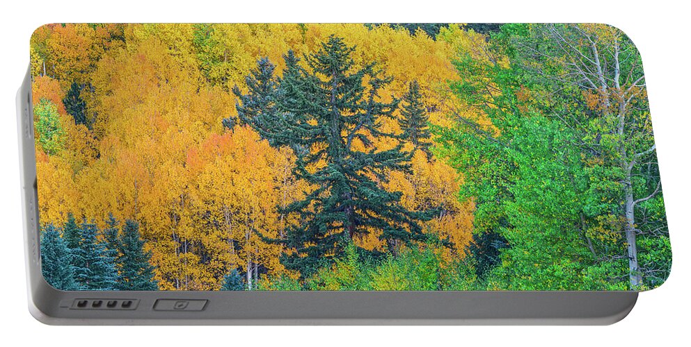 Fall Colors Portable Battery Charger featuring the photograph The Sanctity Of Nature Reified Through A Photographic Image by Bijan Pirnia