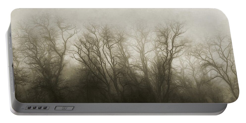 Foggy Portable Battery Charger featuring the photograph The Secrets of the Trees by Scott Norris