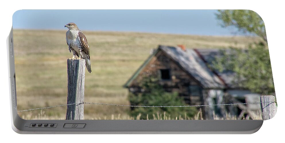 Hawk Portable Battery Charger featuring the photograph The Sentinel by Fiskr Larsen