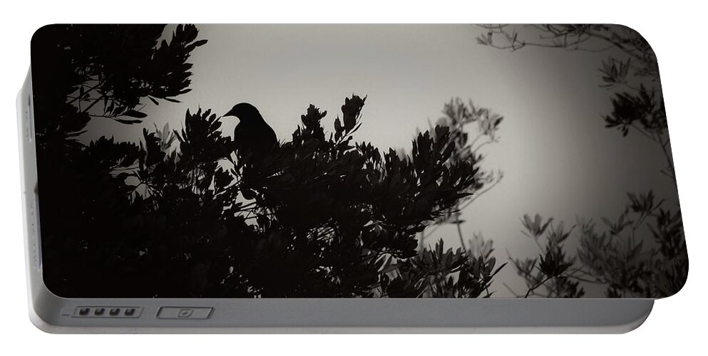 Bird Portable Battery Charger featuring the photograph The Shadow by Stoney Lawrentz