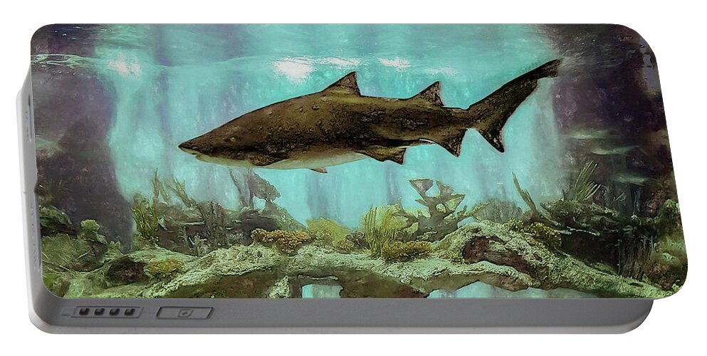 Shark Portable Battery Charger featuring the photograph The Shark by Will Wagner