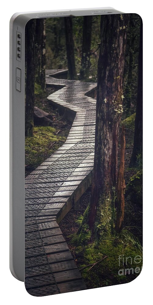 Kremsdorf Portable Battery Charger featuring the photograph The Shining Path by Evelina Kremsdorf