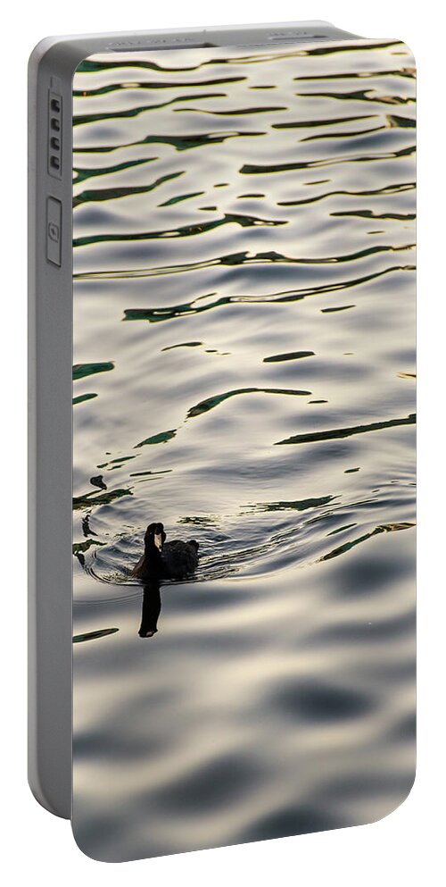 Coot Portable Battery Charger featuring the photograph The Simple Life by Alex Lapidus