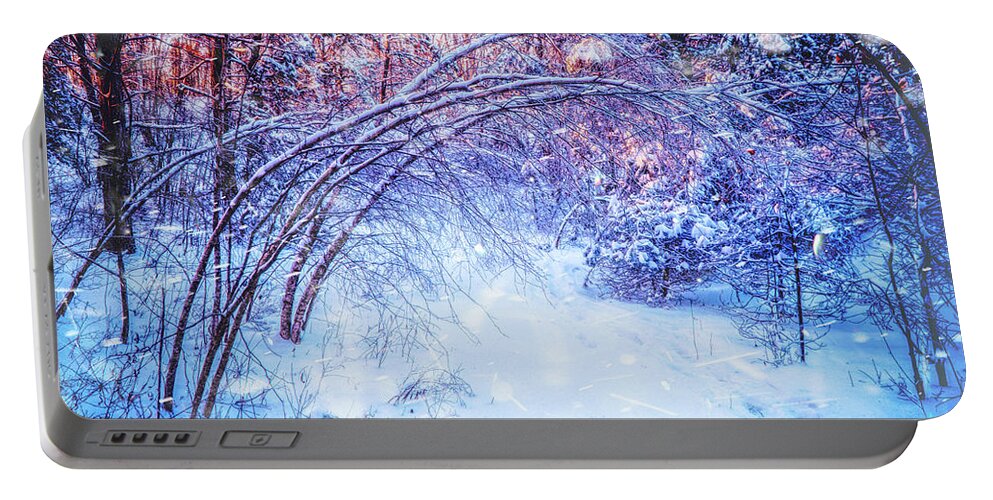 Magic Of Winter Portable Battery Charger featuring the photograph The snowstorm by Lilia S